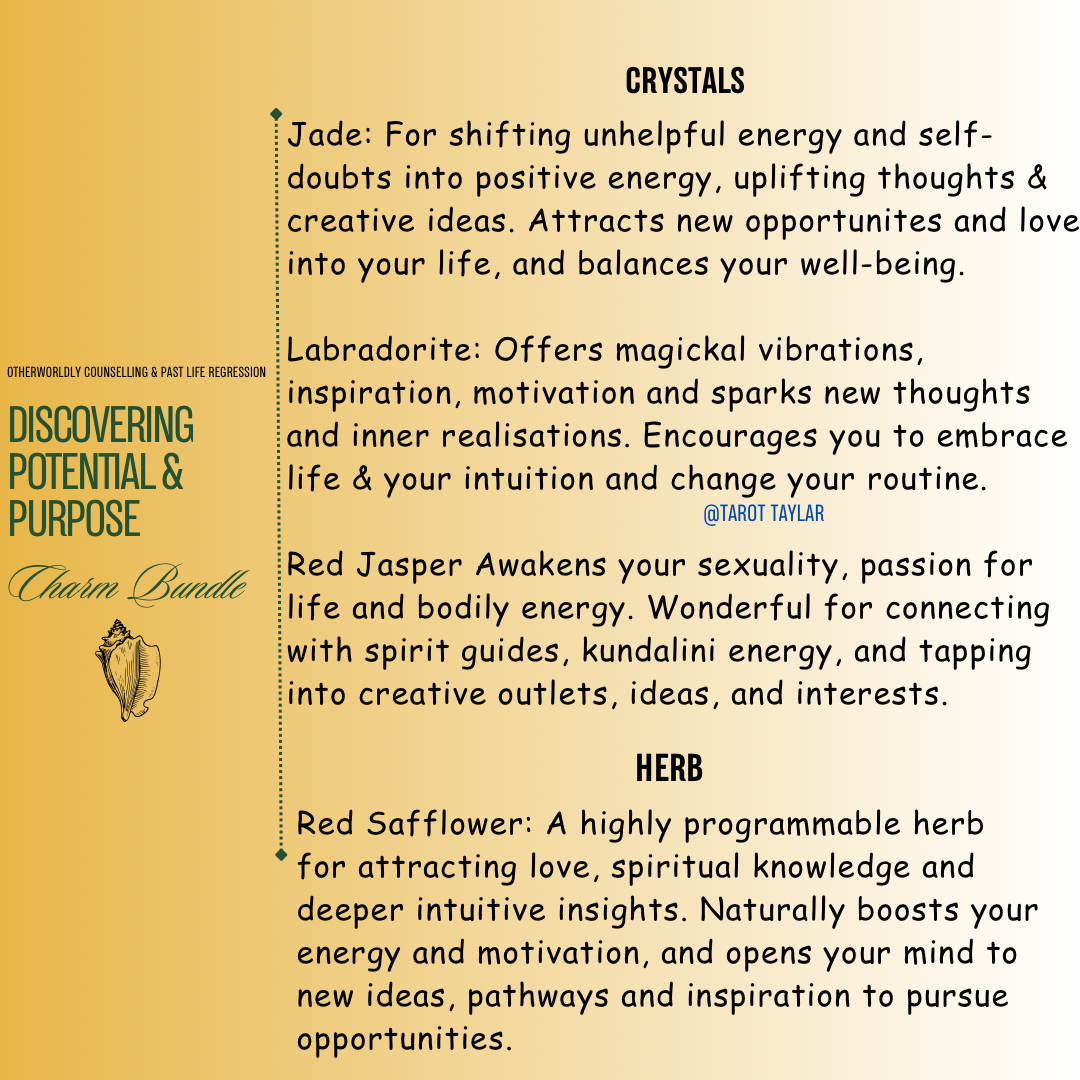Discovering Potential & Purpose ~ Charm Bundle