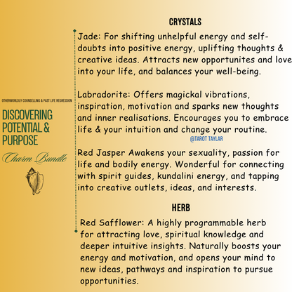 Discovering Potential & Purpose ~ Charm Bundle